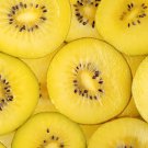 50 GOLDEN KIWI FRUIT Yellow Actinidia Chinensis Kiwifruit Chinese Gooseberry Flower Vine Seeds