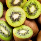 100 KIWI FRUIT Kiwi Actinidia Vine Seeds (Kiwifruit / Hardy Kiwi / Tara Vine / Yang Tao / Chinese Go