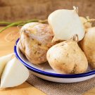 20 JICAMA Mexican Yam Bean Potato Bean Pachyrhizus Erosus Vining Legume Root Vegetable Blue Flower S