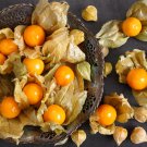 50 PINEAPPLE TOMATILLO Yellow Ground Cherry Physalis Ixocarpa Fruit Vine Seeds