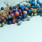 10 Variegated PORCELAIN BERRY VINE Ampelopsis Brevipedunculata Elegans Ampelopsis Glandulosa Amur Pe