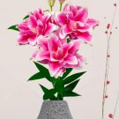 Mikaela Double Oriental Rose Lily Bulb Gorgeous Highly Fragrant Double Blooms 1 Bulb
