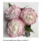 Something Camellia Japonica Live Well Rooted Starter Plant Very Striking Pink Blooms
