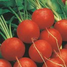 Early Scarlet Globe Radish 25 Seeds