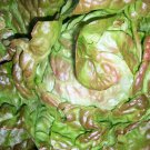 Bronze Mignonette Lettuce 200 Seeds