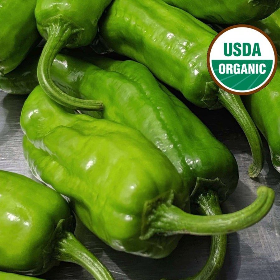 Shishito Pepper 20 Seeds