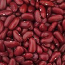 Dark Red Kidney Bush Bean 20 Seeds