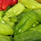 Greek Golden Pepperoncini Pepper 25 Seeds