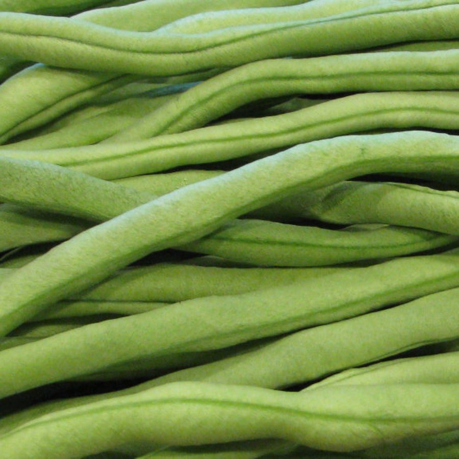 Fortex Vining Pole Bean 20 Seeds