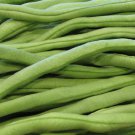 Fortex Vining Pole Bean 20 Seeds
