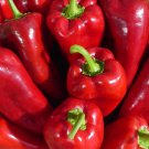 Ajvarski Sweet Pepper 15 Seeds