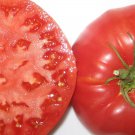 Giant Belgium Pink Tomato 25 Seeds
