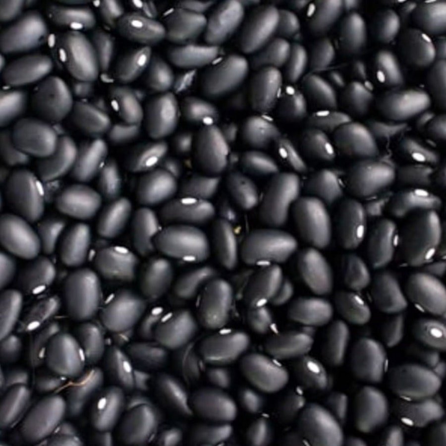 Black Turtle Bean 20 Seeds