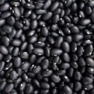 Black Turtle Bean 20 Seeds