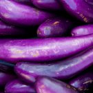 Long Purple Eggplant 25 Seeds