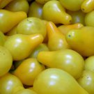 Yellow Pear Tomato 25 Seeds