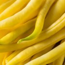 Cherokee Yellow Wax Bush Bean 20 Seeds