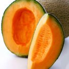 Top Mark Cantaloupe 25 Seeds