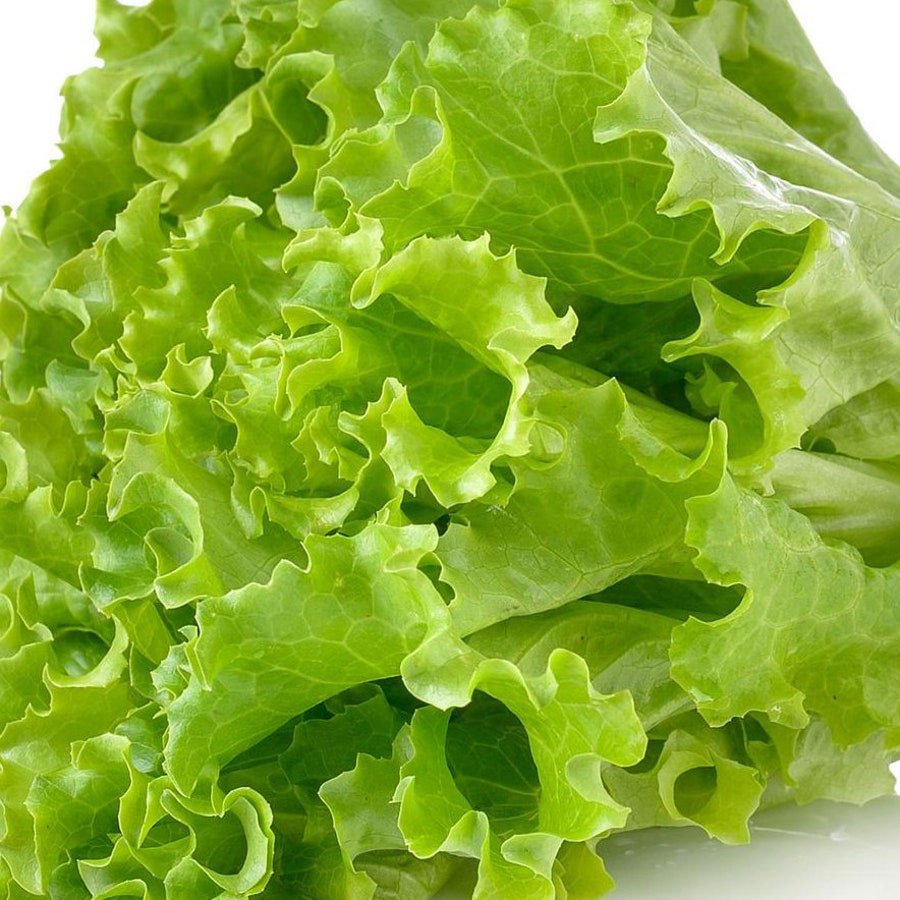 Green Leaf Lettuce 200 Seeds