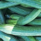 Dark Armenian Cucumber 20 Seeds