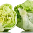 Iceberg Lettuce 200 Seeds