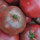 Cherokee Purple Tomato 25 Seeds