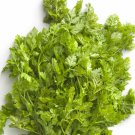 Chervil 100 Seeds
