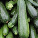 Grey Zucchini 10 Seeds