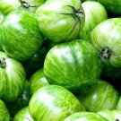 Green Zebra Tomato 25 Seeds