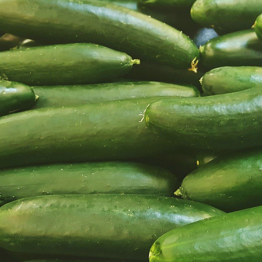 Straight Eight Cucumber 25 Seeds
