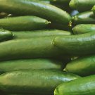 Straight Eight Cucumber 25 Seeds
