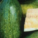 Sweet Siberian Watermelon 25 Seeds