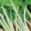 Large Ribbed Dark Green Swiss Chard 25 Seeds