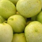 Lemon Cucumber 25 Seeds