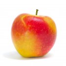 100 Ambrosia Apple Tree Seeds Fresh Seeds