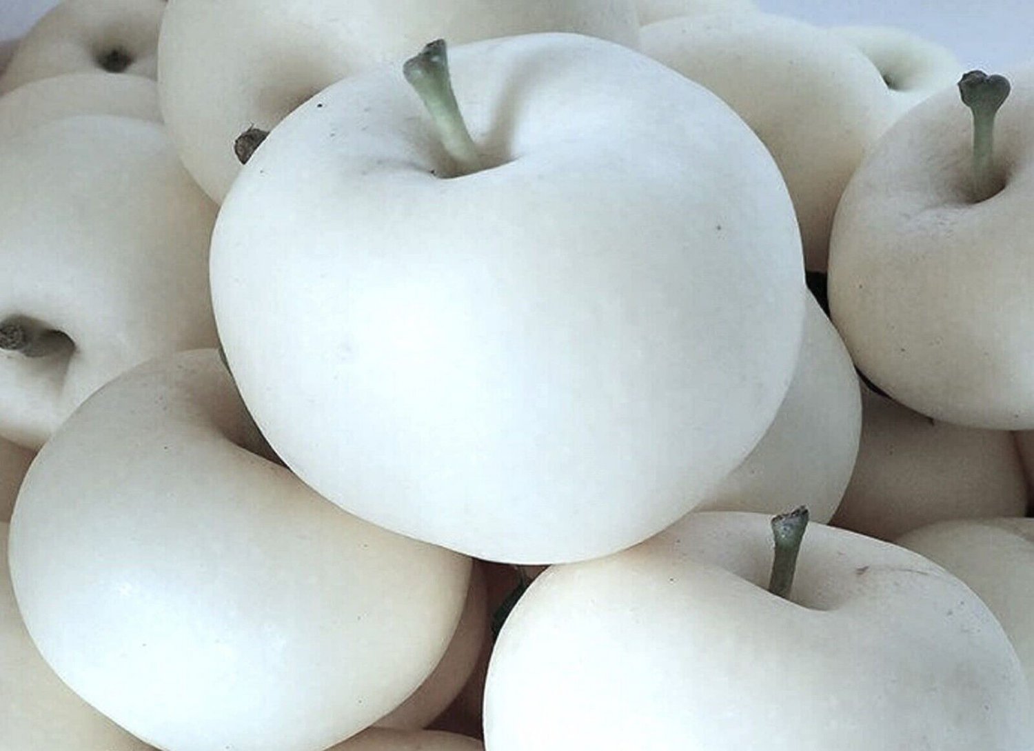 100 White Ghost Apple Tree Seeds Fresh Seeds