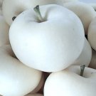 40 White Ghost Apple Tree Seeds Fresh Seeds