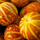 50 Tigger Melon Seeds Organic Fruit