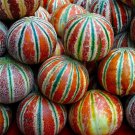 30 Kajari Melon Seeds Organic Fruit