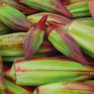 Okra Seeds Red