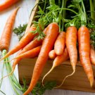 Carrots Seeds Little Fingers