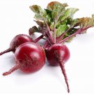 Beets Detroit Dark Red