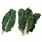 Swiss Chard Seeds Giant Fordhook