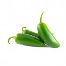 Pepper Seeds Jalapeño