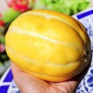 20 Korean Melon Seeds