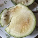 Organic 20 Russian Cream Of Saskatchewan Watermelon Seeds