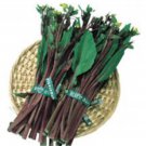 200Flowering Brassica Purple Stem Kosaitai Hon Tsai Tai Seeds