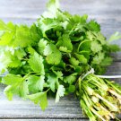 200Herb Cilantro Seeds