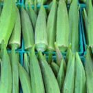 50 Emerald Okra Seeds