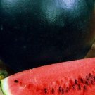50 Sugar Baby Watermelon Seeds